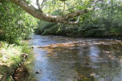 11.-Downstream-from-Beasley-Weir