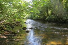 13.-Downstream-from-Beasley-Weir