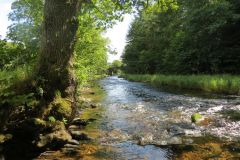 22.-Downstream-from-Beasley-Weir