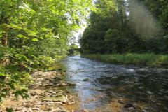 25.-Upstream-from-New-Bridge