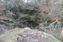 4.-Maybe-old-bridge-abutments-downstream-from-Dulverton-Bridge-1