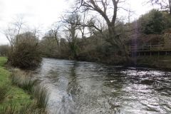 5.-Upstream-from-Milham-Lane-Sewage-Treatment-Works-3