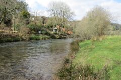 5.-Upstream-from-Milham-Lane-Sewage-Treatment-Works-4