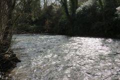 8.-Upstream-from-Beasley-Mill-Weir-1
