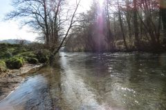 8.-Upstream-from-Beasley-Mill-Weir-2