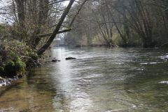 8.-Upstream-from-Beasley-Mill-Weir-3