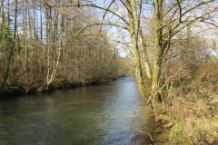 8.-Upstream-from-Beasley-Mill-Weir-4