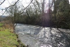 8.-Upstream-from-Beasley-Mill-Weir-5