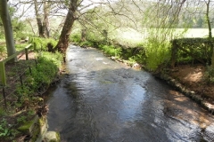17. Upstream from Marsh Bridge