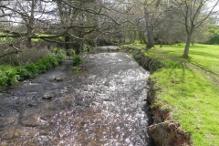 42. Downstream from Dunster Castle Weir