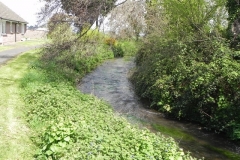 51. Flowing past Riverside Gardens