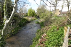 65. Downstream from   Marsh Street weir