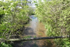 71. Downstream from Marsh Bridge