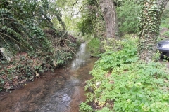 13. Downstream from Dunster Mill Leat Weir