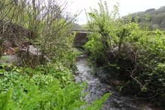 15. Upstream from Knowle Lane Bridge