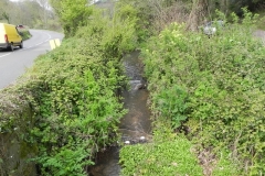 18. Looking upstream from Knowle Lane Bridge