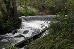 3. Dunster Mill Leat Weir