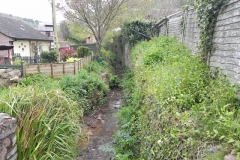 31. Looking upstream to Park Street Culvert outlet