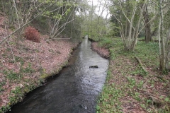 6. Downstream from Dunster Mill Leat Weir