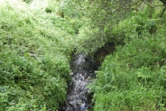 Durcombe Water (2)