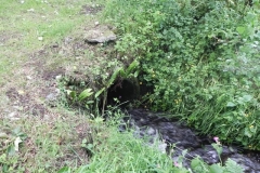 Durcombe Water (3)