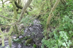 Durcombe Water (4)