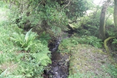 Durcombe Water (6)