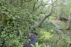 Durcombe Water (7)