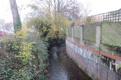 17.-Looking-downstream-from-Felsberg-Way-Bridge