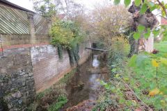 21.-Downstream-from-Felsberg-Way-Footbridge-4