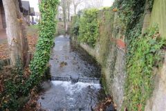 21.-Downstream-from-Felsberg-Way-Footbridge-6