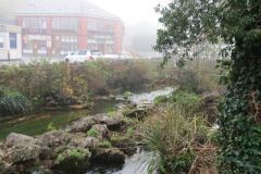 34.-Downstream-from-Bayswater-Pond