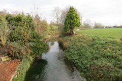 13.-Upstream-from-Rackley-Bridge-ROW-1155-3