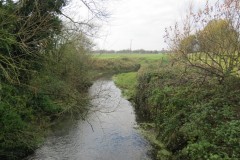 13.-Upstream-from-Rackley-Bridge-ROW-1155-4