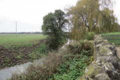 15.-Downstream-from-Rackley-Bridge-2