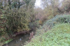 17.-Downstream-from-Rackley-Bridge-2