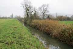 4.-Downstream-from-Bow-Bridge-7