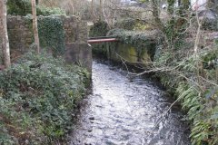 sheppey100-Looking-Upstream-From-Lower-Mill-Darshill
