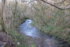 sheppey108-Looking-Downstream-from-Lower-Mill-Bridge-Darshill