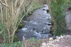 sheppey110-Looking-Upstream-from-Wells-Road-Bridge-Middle-Darshill