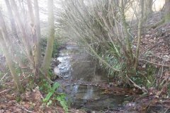 sheppey111-Old-Mill-Leat-to-Middle-Mill-Darshill
