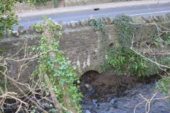 sheppey65-Wells-Road-Bridge-Darshill-Upstream-Arch