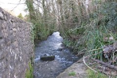 sheppey72-Looking-upstream-from-Upper-Darshill-Mill