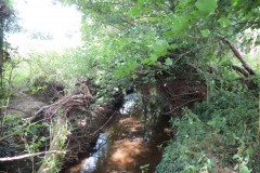 10.-Downstream-from-Bere-Mill-Footbridge-West