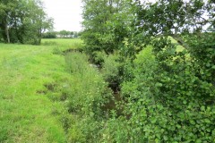 18.-Upstream-from-Bere-Regis