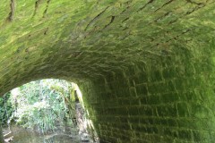 2.-Beneath-Broad-Bridge