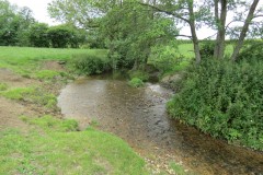 23.-Upstream-from-Bere-Regis