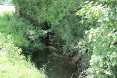 31.-Upstream-from-Bere-Regis-Accommodation-Bridge-East