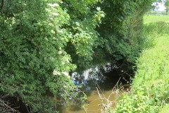 32.-Upstream-from-Bere-Regis-Accommodation-Bridge-East