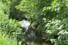 33.-Upstream-from-Bere-Regis-Accommodation-Bridge-East